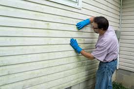 Best Vinyl Siding Installation  in Meadow Les, AK